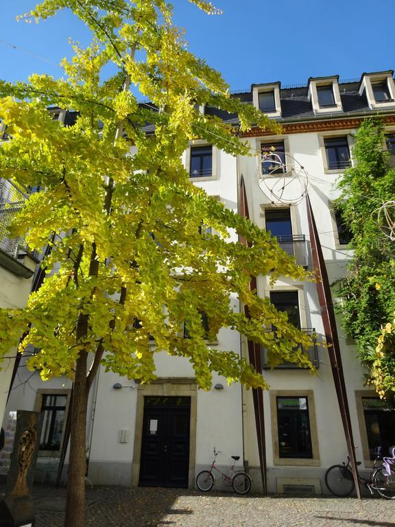 Neustadtperle * Dresde